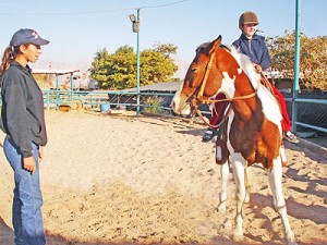 kibbutz-eilot-country-lodging-horses