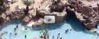 Eilat Video